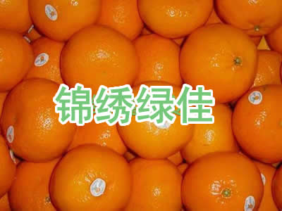 ڰĸ